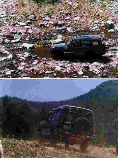 �m���񌩂���̐}