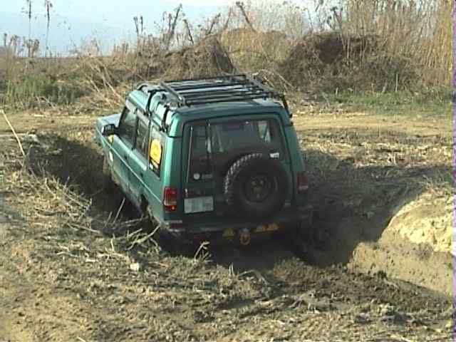 �D�T�@���̂P