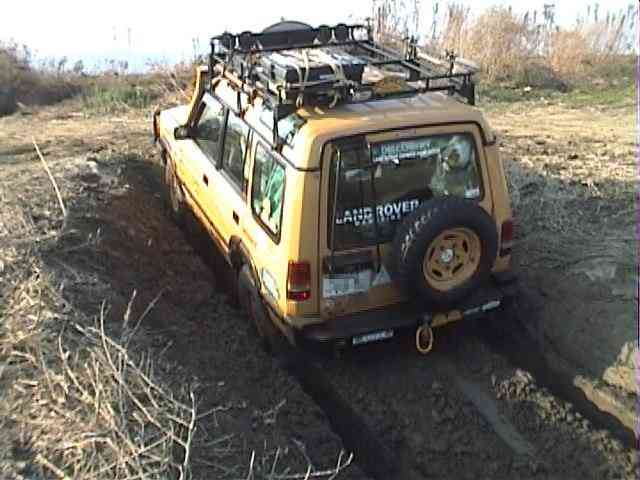 �D�T�@���̂T