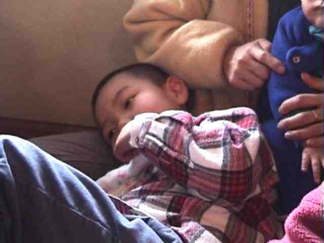 �͂͂̂�肩��