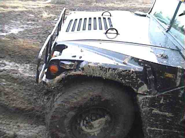 �n�}�[�@�͂܂�