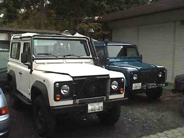 �f�B�t�F���_�[�Q��