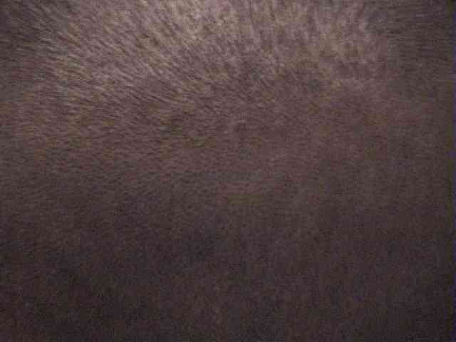 ����@�Ȃ��`��