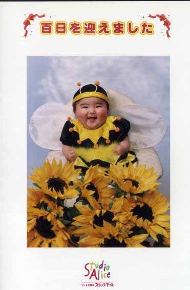 �P�O�O���L�O