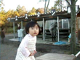 ��Ԗq��̂�����