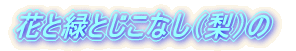 花と緑とじこなし(梨)の