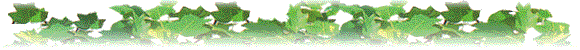 �t